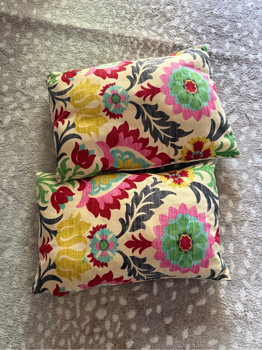 Decorative Floral Throw Pillow Pair in Cream with Multicolor Pattern